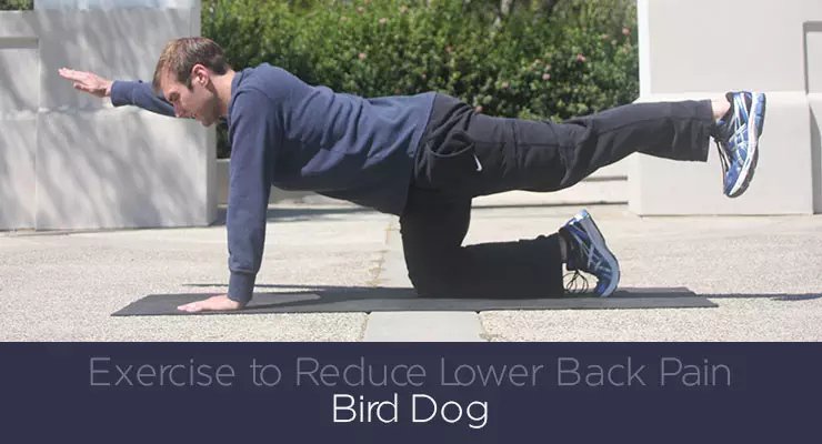 Exercise to Reduce Lower Back Pain