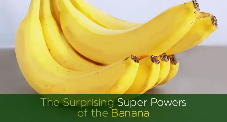 The  Surprising Super Powers of the  Banana