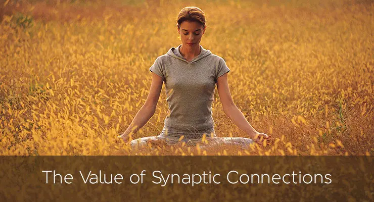 Understanding Synaptic Connections
