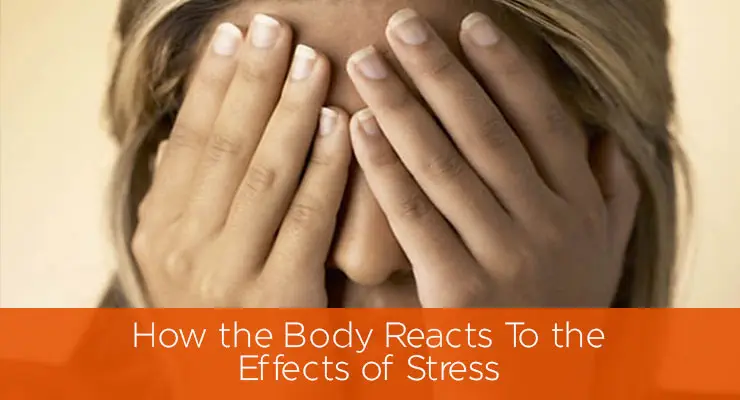 How the Body Reacts To the Effects of Stress