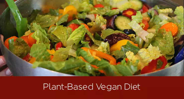 Plant Based Vegan Diet Recipes