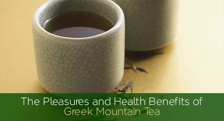 Greek Mountain Tea and Health Benefits of Drinking It