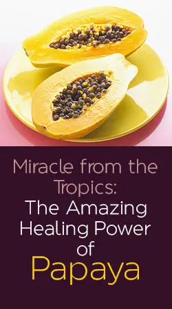 Papaya Benefits